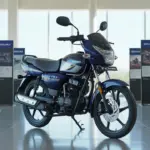 बजट राइडर्स के लिए नई बाइक Bajaj Platina 110..! 75KM माइलेज